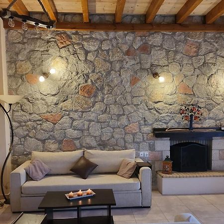 Villa Τα Πέτρινα Στο Σκεπαστό à Kalavryta Extérieur photo