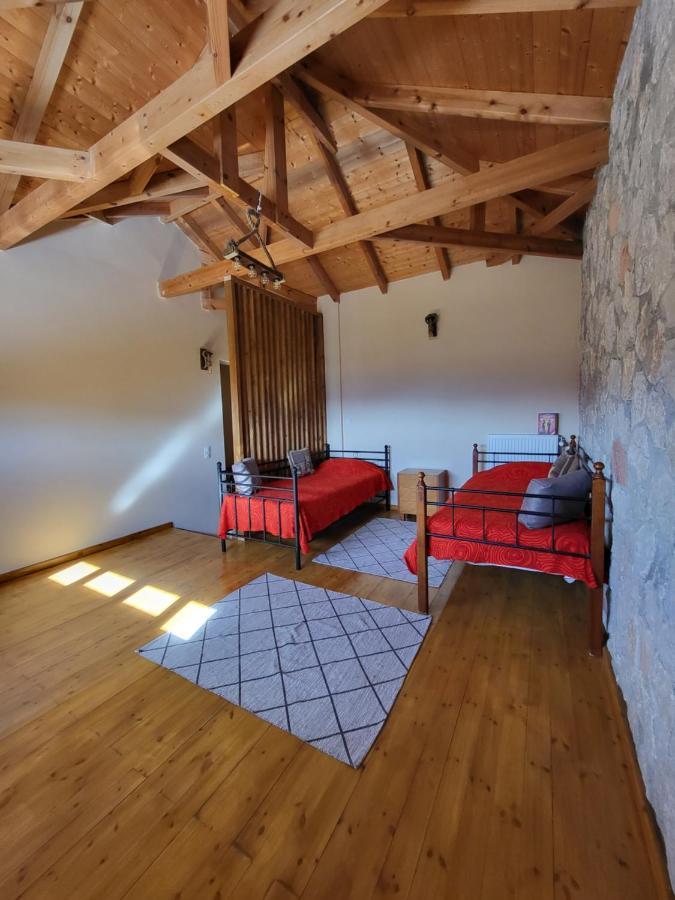 Villa Τα Πέτρινα Στο Σκεπαστό à Kalavryta Extérieur photo